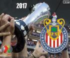 Клуб Депортиво Гвадалахара, известный как Чивас, является чемпионом турнира Клаусура 2017, Лига MX его двенадцатой название